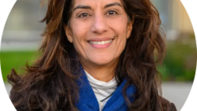 Sanam Naraghi Anderlini rund 
