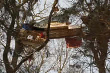 Hambacher_Forst_450x226.jpg