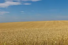 Ukraine Krieg Food Security Energy Lebensmittel Weizen 