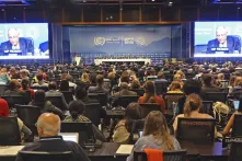 COP27 Climate Conference Samantha Gross Perspectives