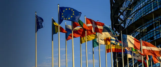 EU Elections flags_Lykke Friis